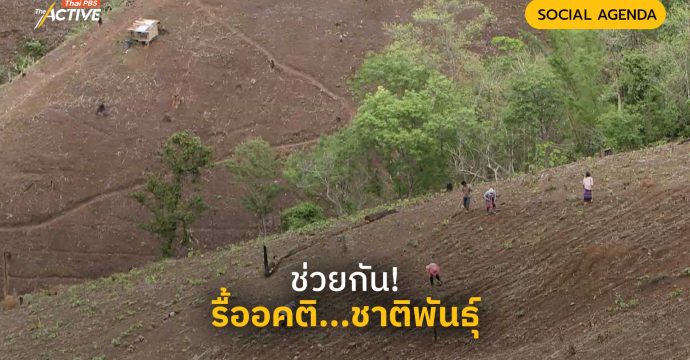 ช่วยกัน! รื้ออคติ…ชาติพันธุ์