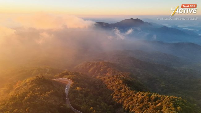 หนาวจริง! กรมอุตุฯเตือน 4-9 ม.ค.นี้ อุณหภูมิลดฮวบ 6 องศา รับปีใหม่ 2569