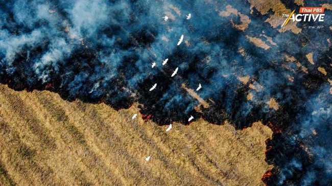 แก้ฝุ่นข้ามจังหวัด นครนายก - กทม. ดันใช้เทคโนโลยี หนุน 