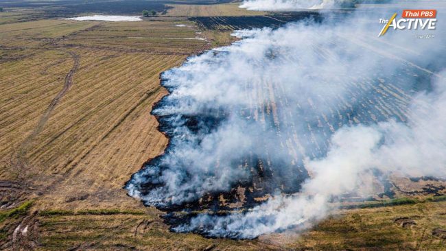 บทเรียน ‘เผานา นครนายก’ ถ้ามี พ.ร.บ.อากาศสะอาด จะช่วยแก้ปัญหายังไง ?