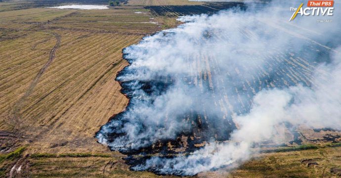 บทเรียน ‘เผานา นครนายก’ ถ้ามี พ.ร.บ.อากาศสะอาด จะช่วยแก้ปัญหายังไง ?