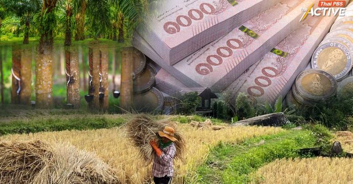 เจาะนโยบาย ‘เกษตร-อาหาร-สิ่งแวดล้อม’ มองโอกาสพลิกฟื้นเกษตรไทย ก่อนเลือกตั้ง