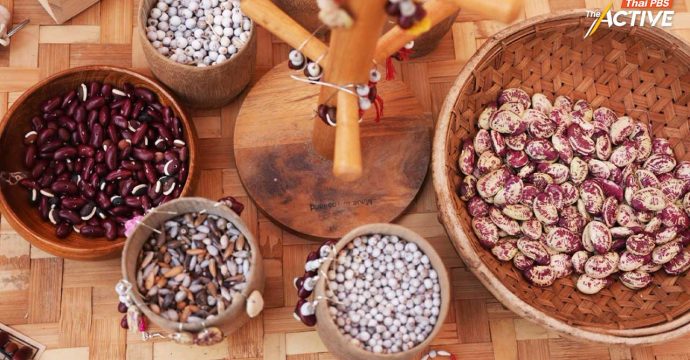 “ถั่ว” ช่วยโลกได้อย่างไร ? สำรวจเมนูถั่วในจานอาหาร ช่วยทั้งสิ่งแวดล้อมและสุขภาพ