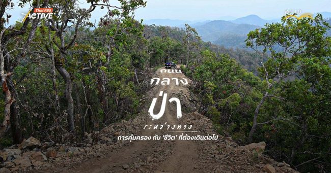 ถนนกลางป่า...ระหว่างทาง การคุ้มครอง กับ ‘ชีวิต’ ที่ต้องเดินต่อไป