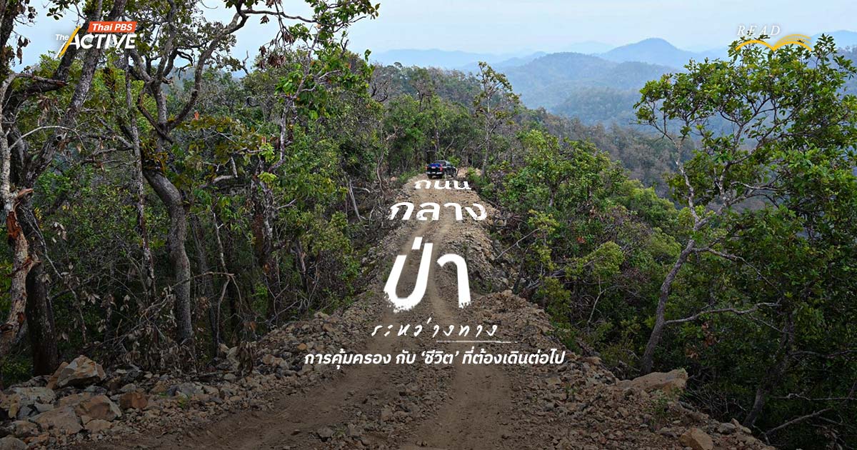 ถนนกลางป่า...ระหว่างทาง การคุ้มครอง กับ ‘ชีวิต’ ที่ต้องเดินต่อไป
