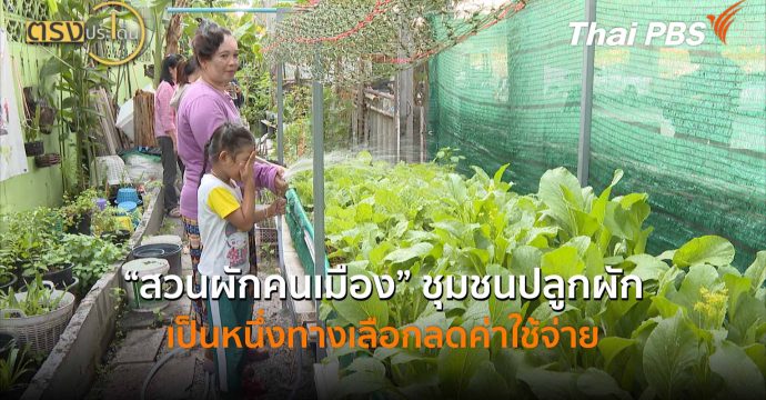 “สวนผักคนเมือง” ชุมชนปลูกผัก เป็นหนึ่งทางเลือกลดค่าใช้จ่าย (26 มี.ค. 69) I ตรงประเด็น
