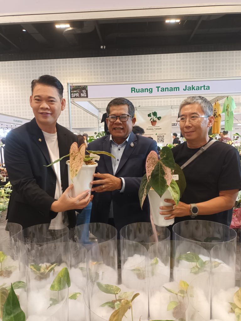 ไม้แปลก