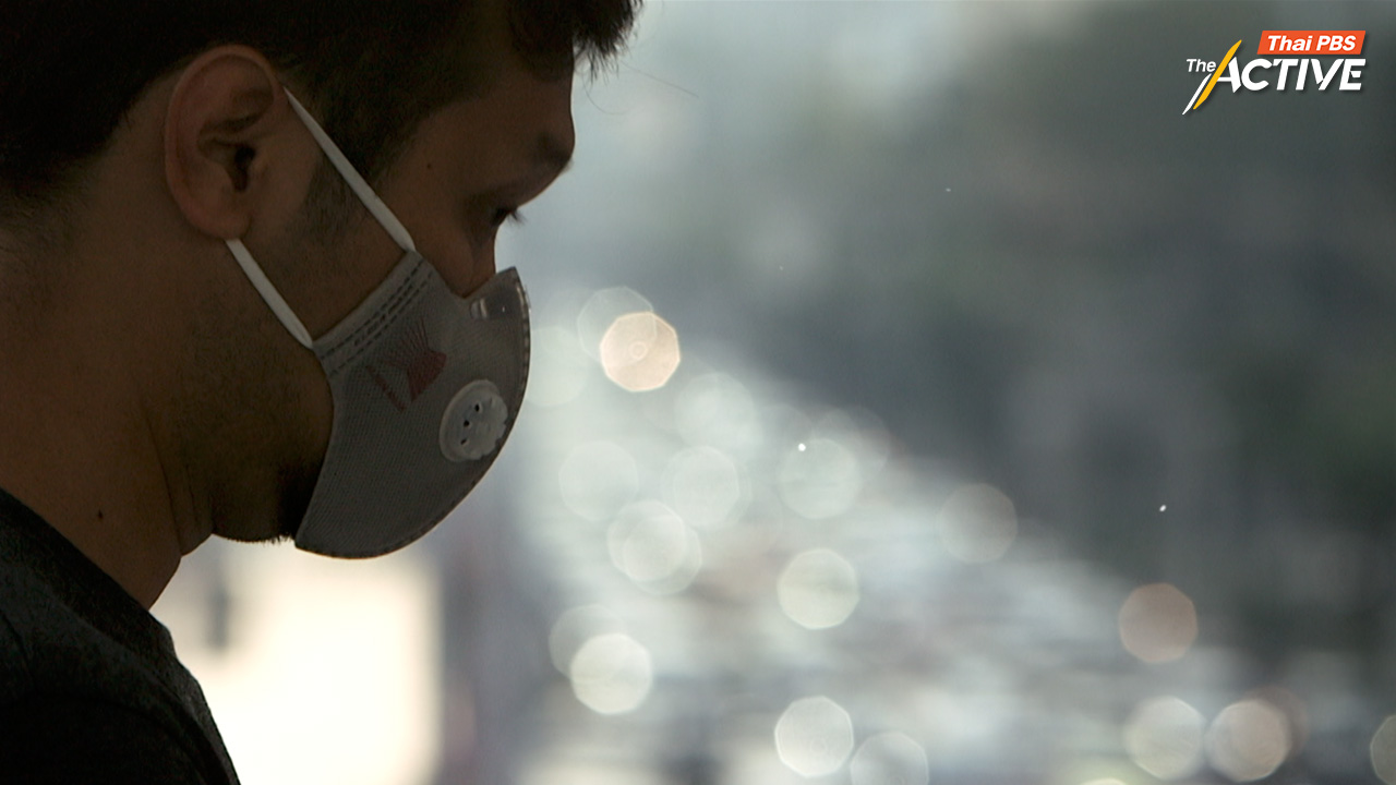 คาดช่วงฝุ่นหนัก อาจมีผู้เสียชีวิตเพิ่มราว 700 คน หากเทียบกับช่วงปกติ