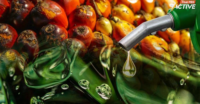 อดีตปลัดพลังงาน ชี้ “เชื้อเพลิงชีวภาพ” ทางเลือกช่วงวิกฤตน้ำมันโลก