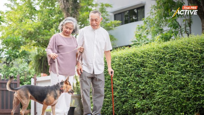 ผู้ป่วยสมองเสื่อมอายุลดลง แนะ ออกแบบบ้าน-เมือง รับสังคมสูงวัย