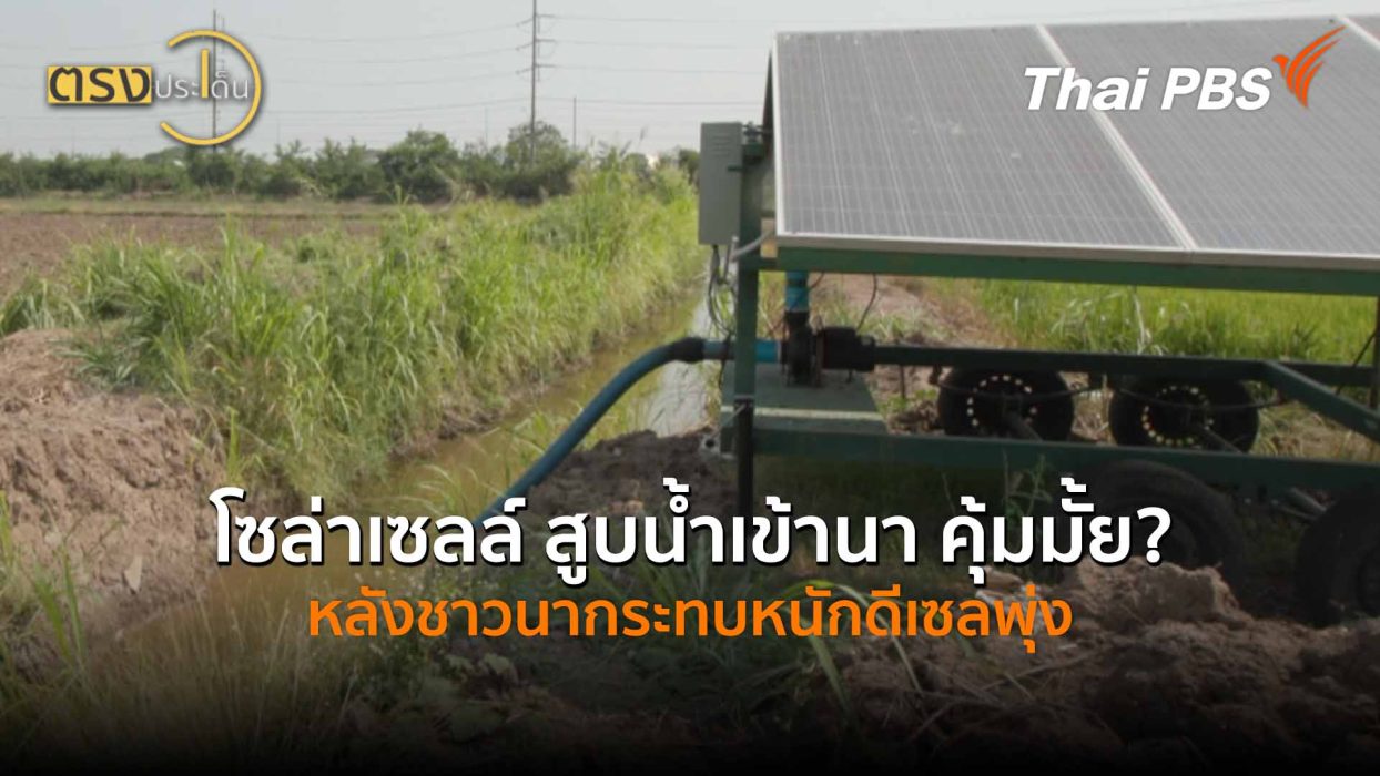 โซล่าเซลล์ สูบน้ำเข้านา คุ้มมั้ย? หลังชาวนากระทบหนักดีเซลพุ่ง (3 เม.ย.69) I ตรงประเด็น