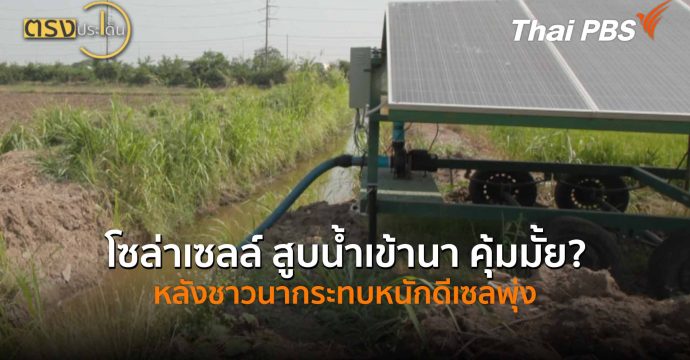โซลาร์เซลล์ สูบน้ำเข้านา คุ้มมั้ย? หลังชาวนากระทบหนักดีเซลพุ่ง (3 เม.ย.69) I ตรงประเด็น