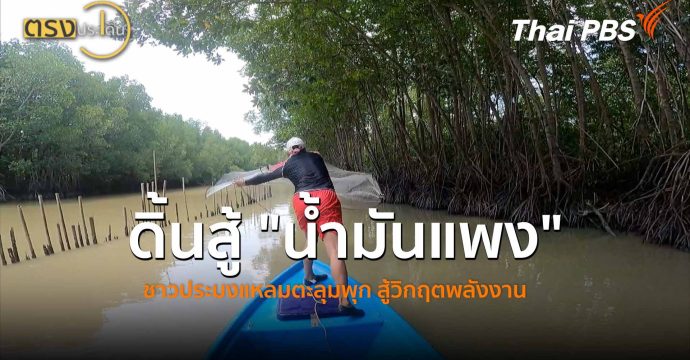 ดิ้นสู้ “น้ำมันแพง”ชาวประมงแหลมตะลุมพุก สู้วิกฤตพลังงาน (17 เม.ย.69) I ตรงประเด็น