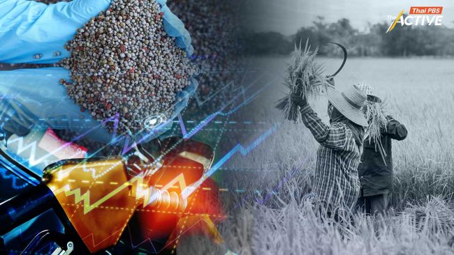 รอยรั่วระบบส่งออกข้าวที่เติบโต แต่มูลค่าไปไม่ถึงมือผู้ผลิต เสนอรัฐรื้อโครงสร้างก่อนภาคเกษตร 