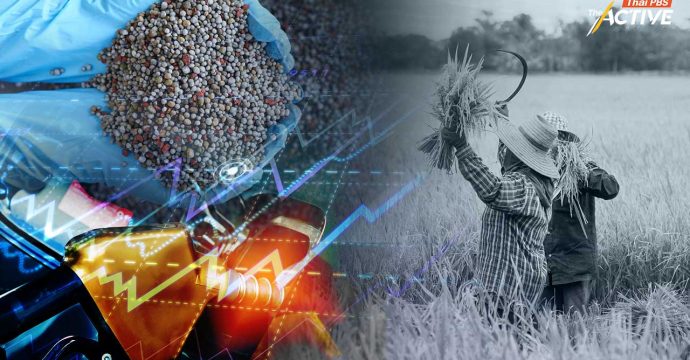 รอยรั่วระบบส่งออกข้าวที่เติบโต แต่มูลค่าไปไม่ถึงมือผู้ผลิต เสนอรัฐรื้อโครงสร้างก่อนภาคเกษตร “ล่มสลาย”