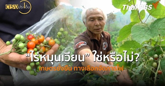 “ไร่หมุนเวียน” ใช่หรือไม่? เกษตรยั่งยืน ทางเลือกจัดการไฟ (20 เม.ย.69) I ตรงประเด็น