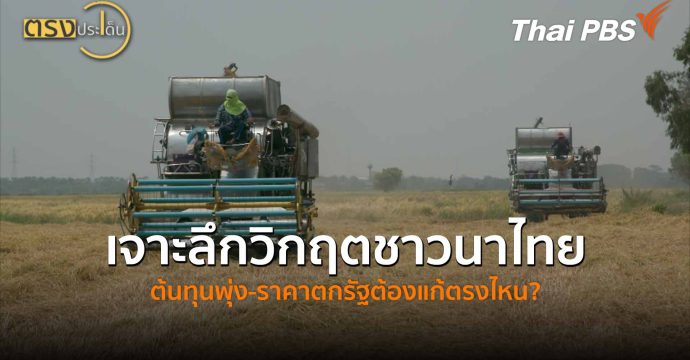 เจาะลึกวิกฤตชาวนาไทย ต้นทุนพุ่ง-ราคาตกรัฐต้องแก้ตรงไหน? (24 เม.ย.69) I ตรงประเด็น