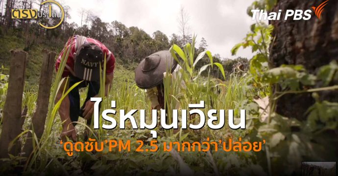 ไร่หมุนเวียน ‘ดูดซับ’PM 2.5 มากกว่า’ปล่อย’ (29 เม.ย.69) I ตรงประเด็น