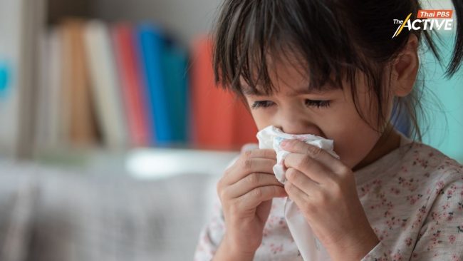 ห่วงเด็ก 2 ล้านคน สูดฝุ่นพิษภาคเหนือ ตอกย้ำ 'วิกฤตสิทธิเด็ก' จี้รัฐเร่งเดินหน้า 'พ.ร.บ.อากาศสะอาด'