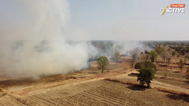 แนะ อว. ผุดนวัตกรรม 'เลิกเผา เป๋าตุง' ต้องไม่จบแค่นำร่อง-เร่งดัน 'กม.อากาศสะอาด' ทางออกแก้ฝุ่นทั้งระบบ