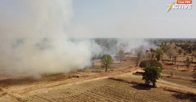 แนะ อว. ผุดนวัตกรรม ‘เลิกเผา เป๋าตุง’ ต้องไม่จบแค่นำร่อง-เร่งดัน ‘กม.อากาศสะอาด’ ทางออกแก้ฝุ่นทั้งระบบ