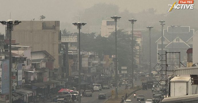 วอน นายกฯ เจตจำนงชัดแก้ฝุ่น หยุดผลักชาวบ้านเป็นศัตรู หนุนความร่วมมือจัดการเป็นระบบ