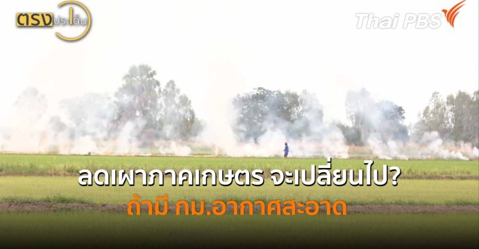 ลดเผาภาคเกษตร จะเปลี่ยนไป? ถ้ามี กม.อากาศสะอาด (15 พ.ค.69) I ตรงประเด็น