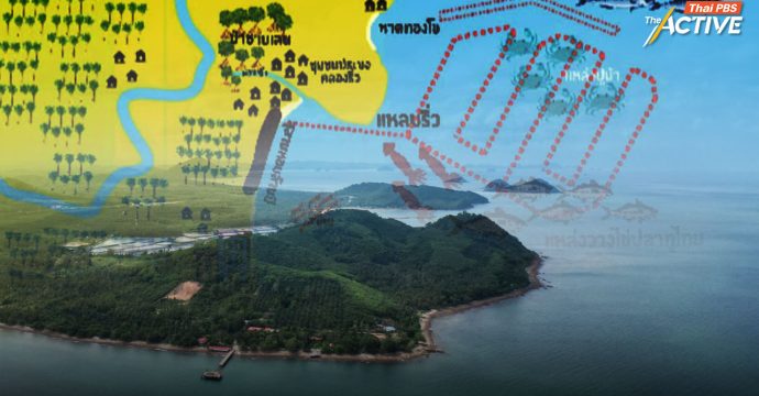 เปิดขุมทรัพย์ ‘สัตว์หน้าดิน’ อ่าวไทย ความสมบูรณ์ที่อาจหายไปเพราะ ‘แลนด์บริดจ์’ ?