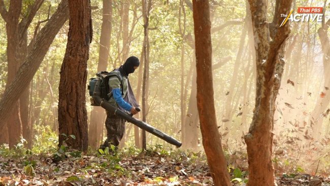 เปิดผลวิจัยใหม่ ย้ำ ภูมิปัญญาชนเผ่าสามารถลดไฟป่า และ PM2.5 ได้ 