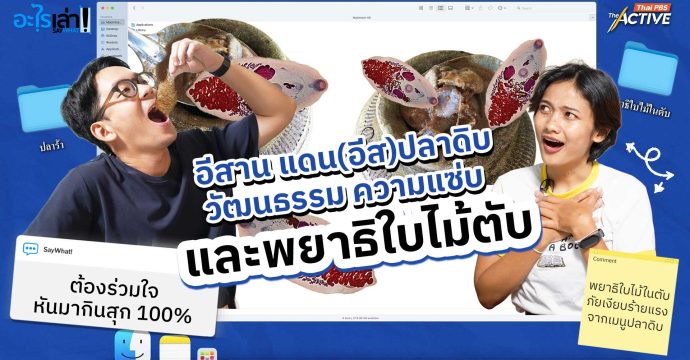 อีสาน แดน(อีส)ปลาดิบ วัฒนธรรม ความแซ่บ และพยาธิใบไม้ตับ