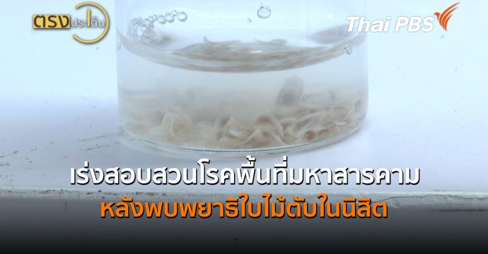 เร่งสอบสวนโรคพื้นที่มหาสารคาม หลังพบพยาธิใบไม้ตับในนิสิต (8 ก.ค.69 ) | ตรงประเด็น