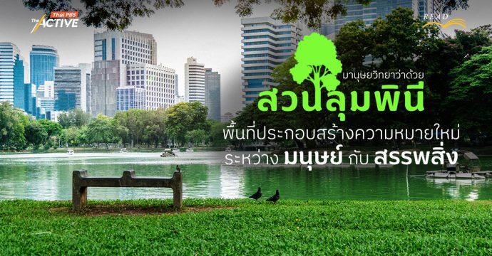 มานุษยวิทยาว่าด้วย ‘สวนลุมพินี’ พื้นที่ประกอบสร้างความหมายใหม่ระหว่าง มนุษย์ กับ สรรพสิ่ง