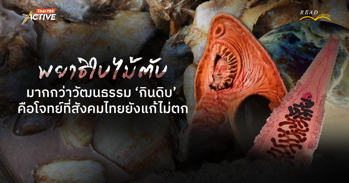 พยาธิใบไม้ตับ...มากกว่าวัฒนธรรม ‘กินดิบ’ คือโจทย์ที่สังคมไทยยังแก้ไม่ตก