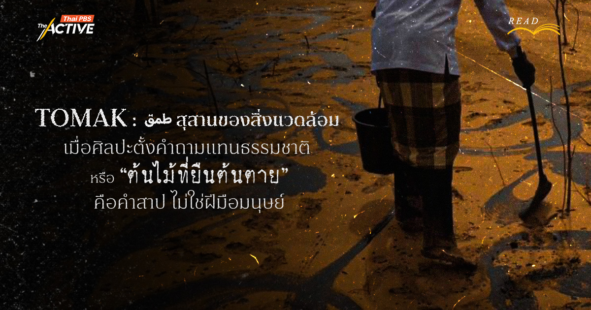 TOMAK :  طمق  สุสานของสิ่งแวดล้อม เมื่อศิลปะตั้งคำถามแทนธรรมชาติ หรือ “ต้นไม้ที่ยืนต้นตาย” คือคำสาปไม่ใช่ฝีมือมนุษย์ ?