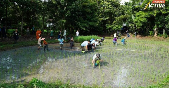 1 ทศวรรษ ‘โคกหนองนาโปรดปัน’ พื้นที่ความสุขร่วมกัน ของคนมีฝันแห่งวิถี ‘พอเพียง’
