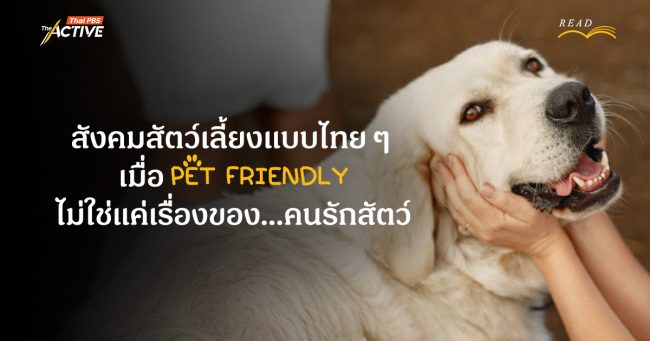 สังคมสัตว์เลี้ยงแบบไทย ๆ เมื่อ Pet Friendly ไม่ใช่แค่เรื่องของคนรักสัตว์