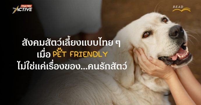 สังคมสัตว์เลี้ยงแบบไทย ๆ เมื่อ Pet Friendly ไม่ใช่แค่เรื่องของคนรักสัตว์