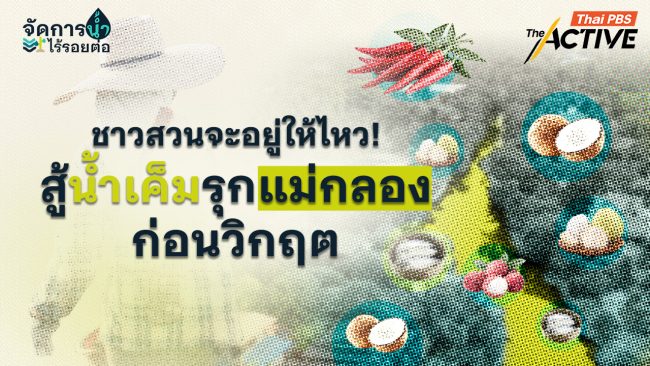 น้ำเค็มรุกแม่กลองกระทบพืช GI เสริม DATA สู่การจัดการน้ำไร้รอยต่อ