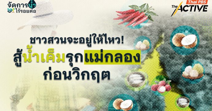 น้ำเค็มรุกแม่กลองกระทบพืช GI เสริม DATA สู่การจัดการน้ำไร้รอยต่อ