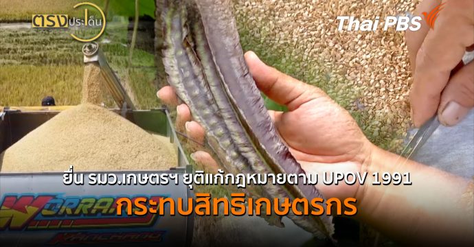 ยื่น รมว.เกษตรฯ ยุติแก้กฎหมายตาม UPOV 1991 กระทบสิทธิเกษตรกร (23 ก.ย.69) I ตรงประเด็น