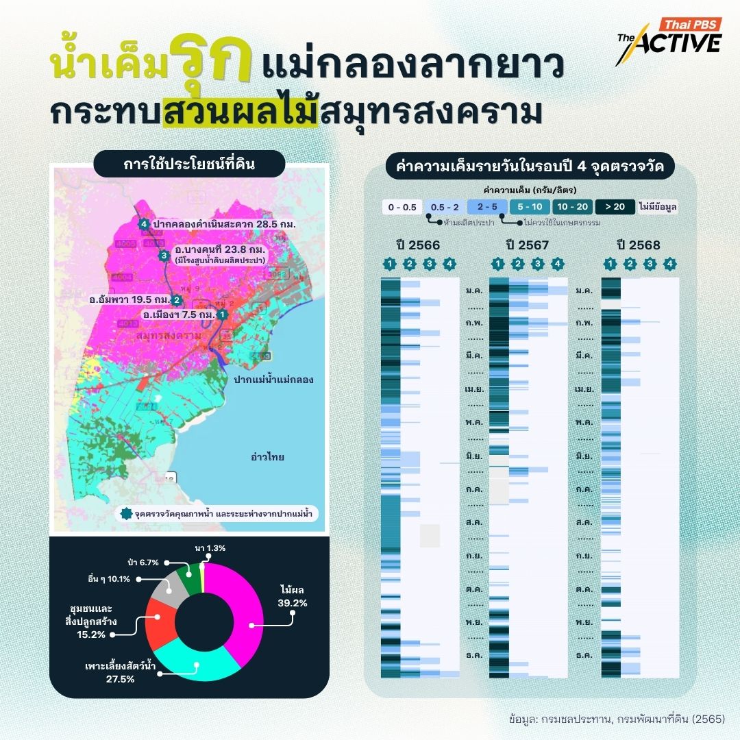ค่าความเค็มในแม่น้ำแม่กลองจากจุดตรวจวัดของกรมชลประทาน ปี 2566 - 2568