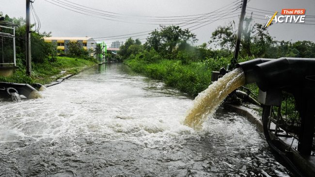 'ชัชชาติ' รับฝนยังไม่น่าวางใจ หลายคลองน้ำวิกฤต คาดสถานการณ์คลี่คลายวันอาทิตย์นี้