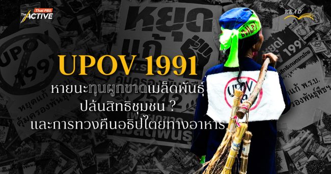 UPOV 1991 : หายนะทุนผูกขาดเมล็ดพันธุ์ ปล้นสิทธิชุมชน ? และการทวงคืนอธิปไตยทางอาหาร