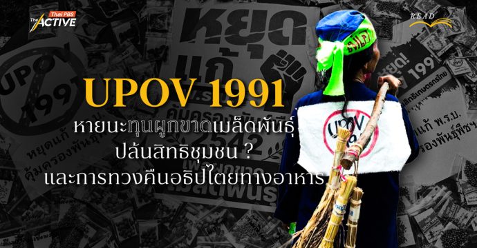 UPOV 1991 : หายนะทุนผูกขาดเมล็ดพันธุ์ ปล้นสิทธิชุมชน ? และการทวงคืนอธิปไตยทางอาหาร