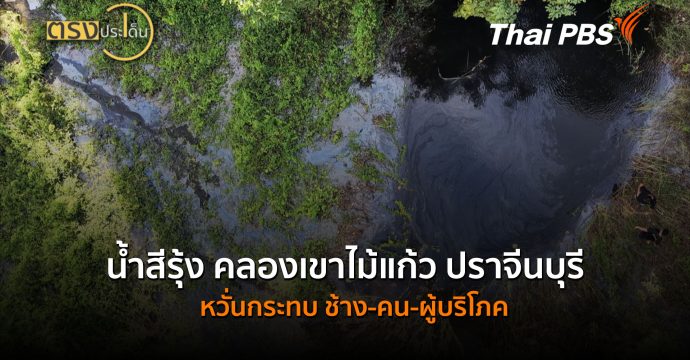“น้ำสีรุ้ง” คลองเขาไม้แก้ว ปราจีนบุรี หวั่นกระทบ ช้าง-คน-ผู้บริโภค (21 ต.ค.69) | ตรงประเด็น
