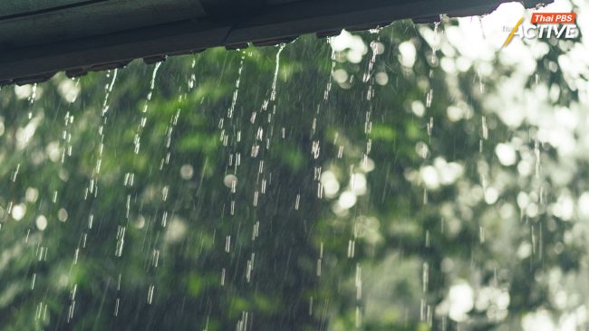 ห่วงภาคใต้ฝนตกหนัก หวั่น ฝนถล่มต้นน้ำ นบพิตำ - คีรีวง เสี่ยงน้ำป่าไหลหลาก