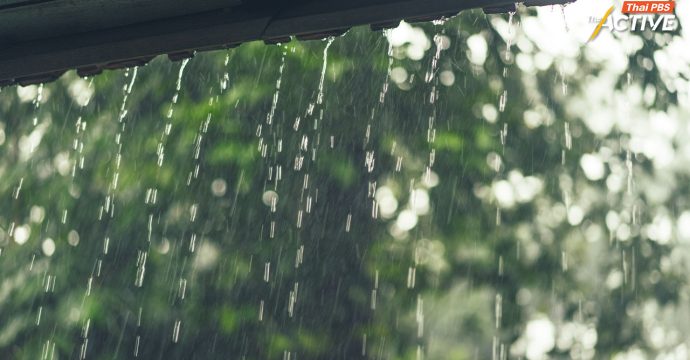 ห่วงภาคใต้ฝนตกหนัก หวั่น ฝนถล่มต้นน้ำ นบพิตำ – คีรีวง เสี่ยงน้ำป่าไหลหลาก