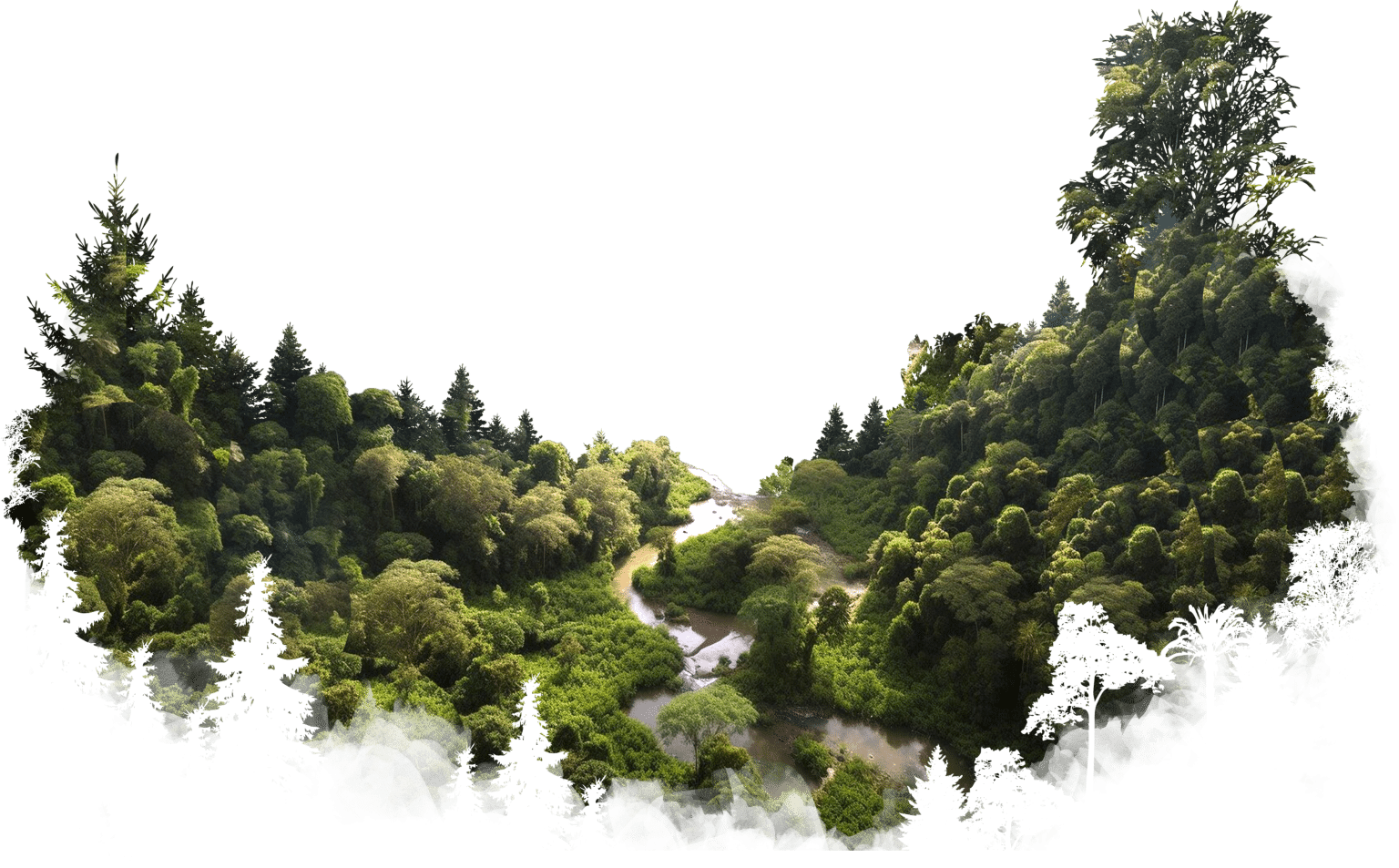 Tree forest illustration