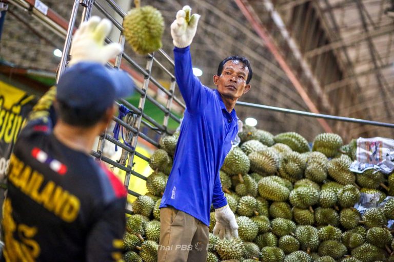 1-ภาพทุเรียน