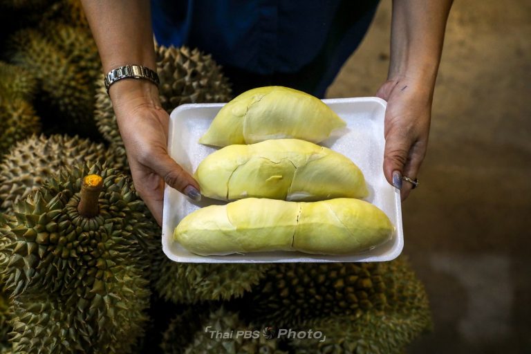 2-ภาพทุเรียน 2